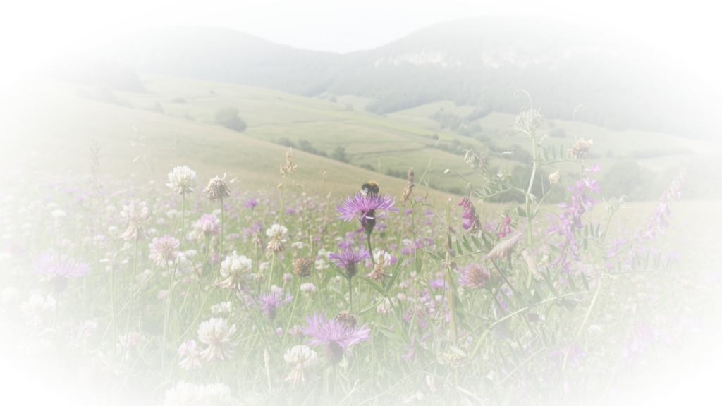 Milieu